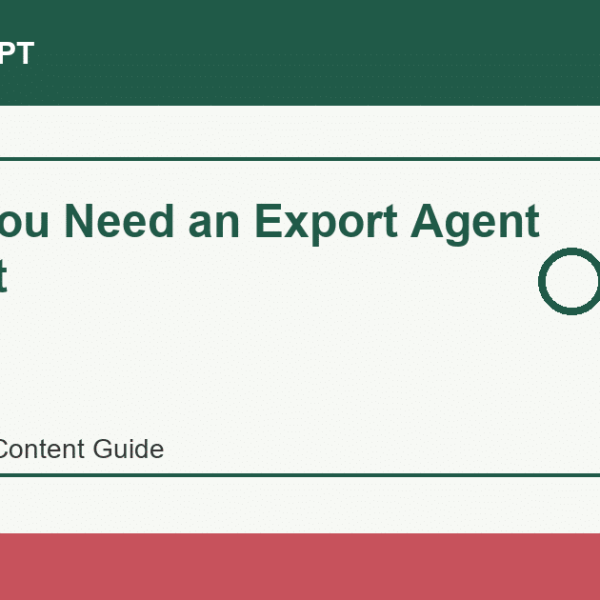 When You Need an Export Agent in Egypt - Import Egypt