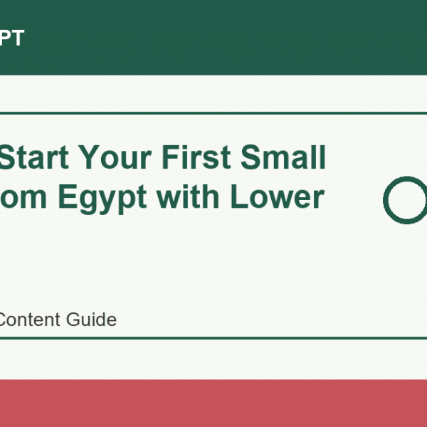 How to Start Your First Small Order from Egypt with Lower Risk - Import Egypt