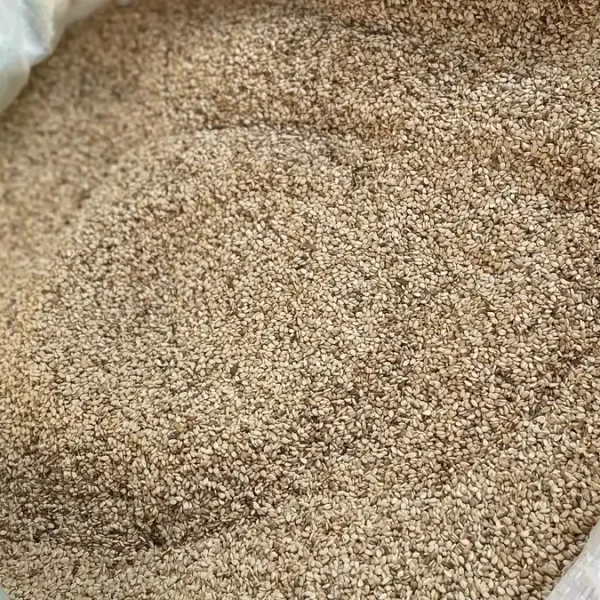 Real buyer review scene for sesame seeds samples