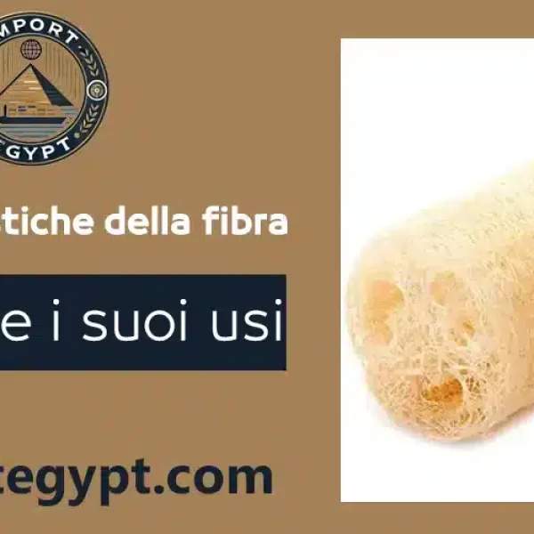la fibra egiziana