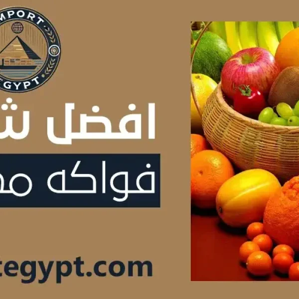 افضل شركة فواكه مجمده