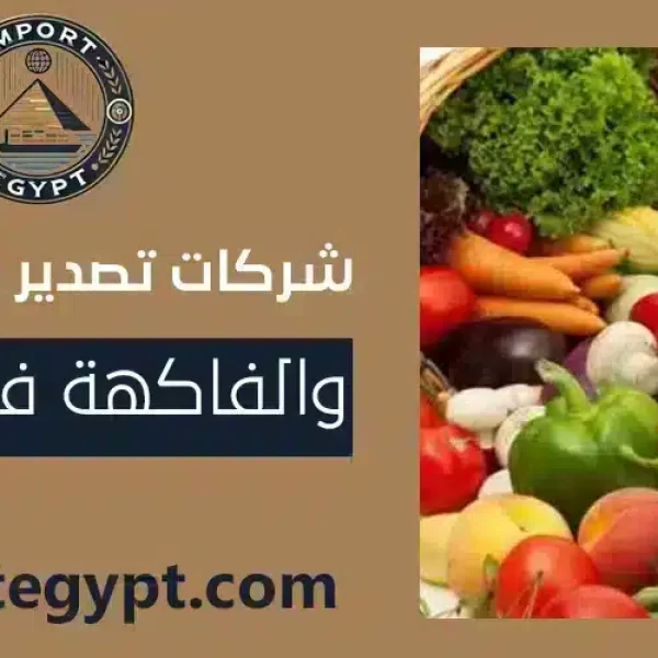 أفضل شركات تصدير الخضروات والفاكهة فى مصر