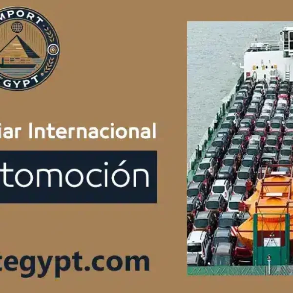 Transporte internacional de automóviles