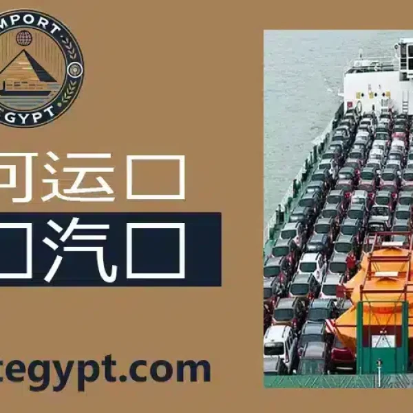 国际汽车运输