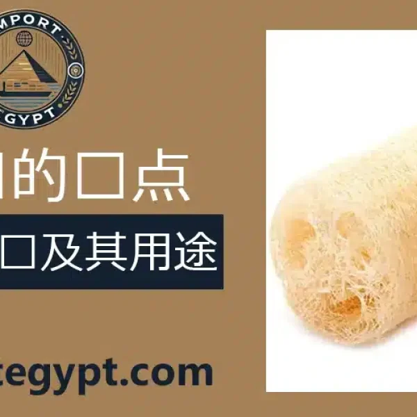 埃及丝瓜络