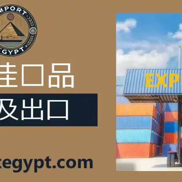 埃及最佳出口产品 商品清单指南