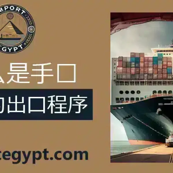 埃及的出口程序