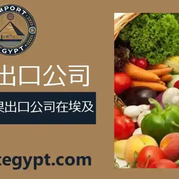 埃及蔬菜和水果出口公司