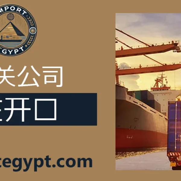 开罗的通关公司