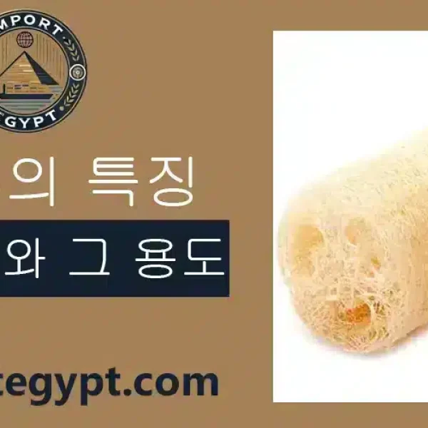 이집트 섬유