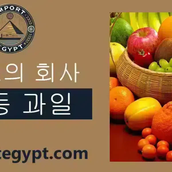 최고의 냉동 과일 회사
